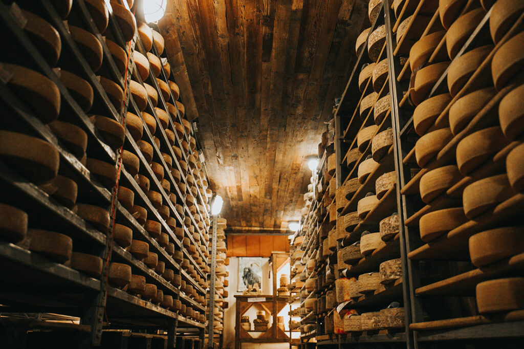 cantine guffanti forme formaggio
