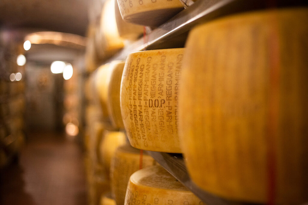 cantine guffanti forme formaggio