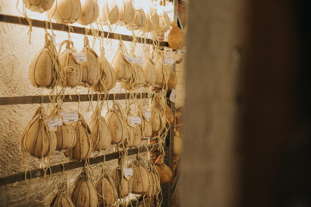 cantine guffanti forme formaggio