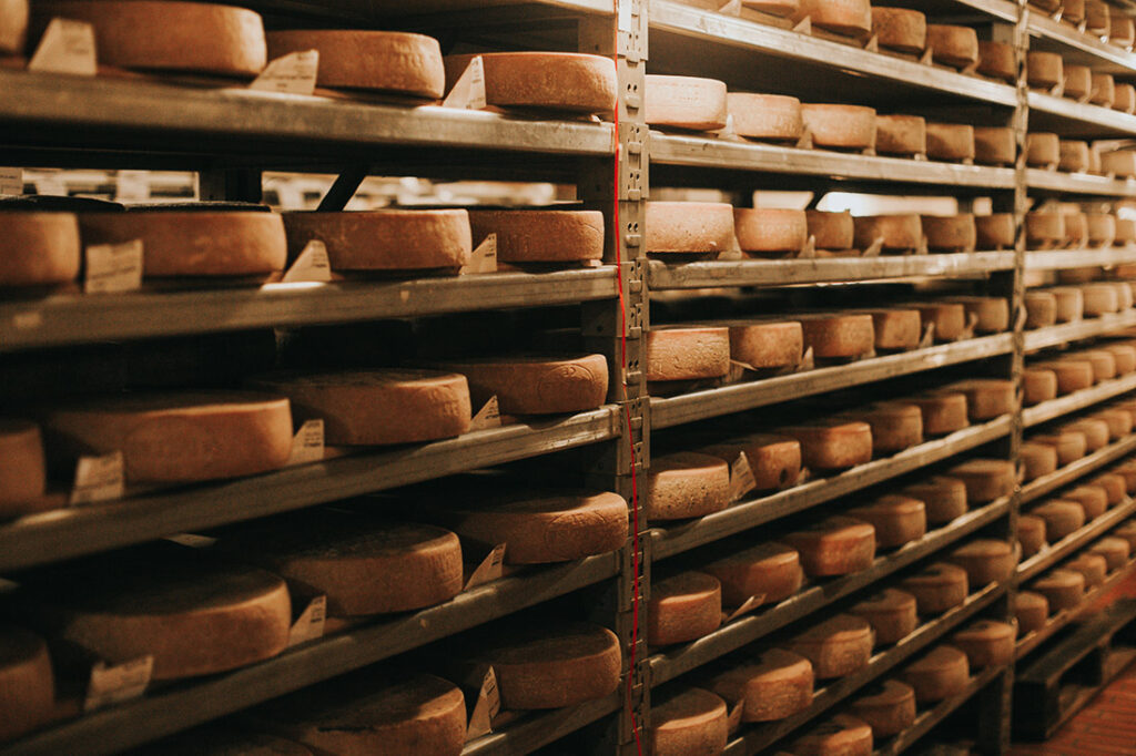 cantine guffanti forme formaggio