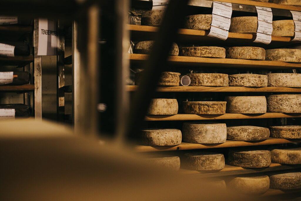 cantine guffanti forme formaggio