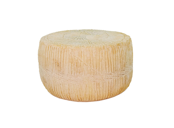 Formaggio Pecorino Fresco Coratino - immagine 2