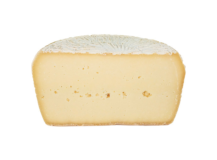 Formaggio Pecorino Fresco Coratino