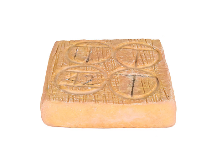 Taleggio DOP - immagine 3