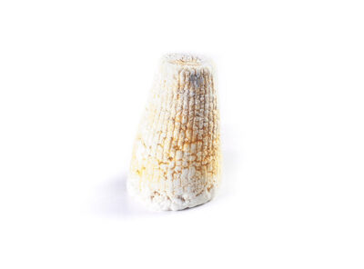 Ricotta salata di pecora Marzolina