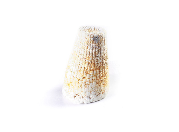 Ricotta salata di pecora Marzolina