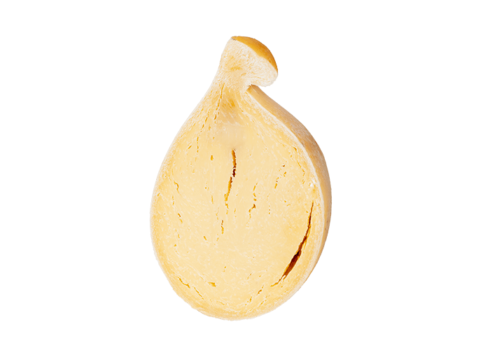 Caciocavallo podolico