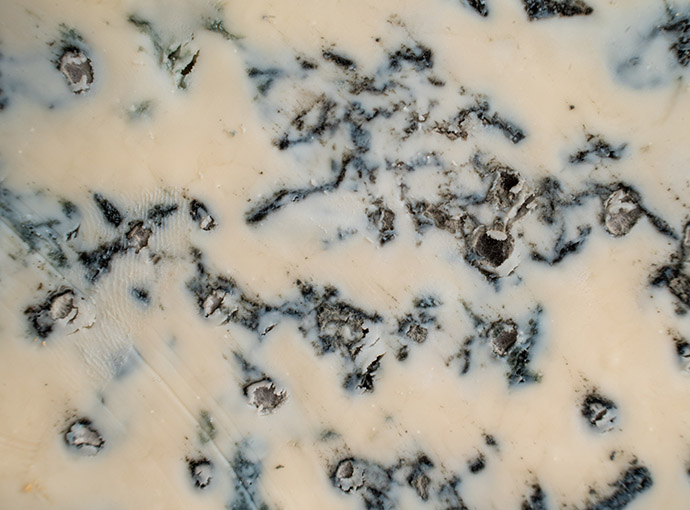 Gorgonzola DOP piccante - riserva 250 gg - 300 gr - immagine 3