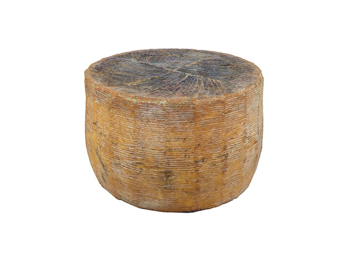 Pecorino Siciliano DOP - Image 2