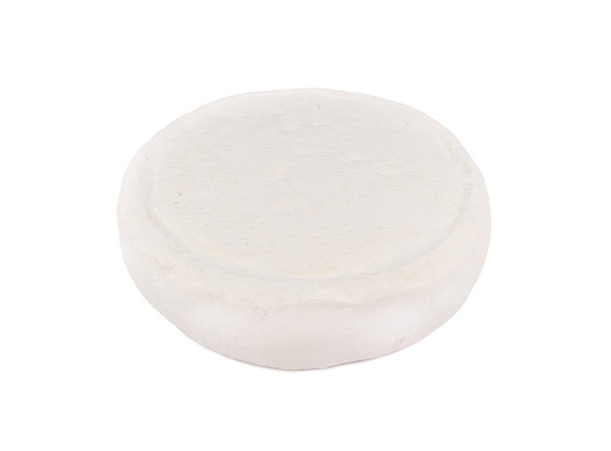 Scimudìn - immagine 2