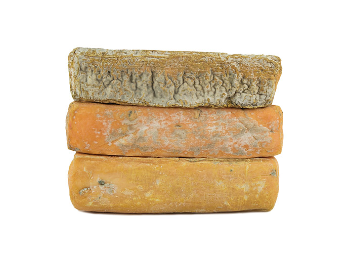 Taleggio DOP - immagine 2