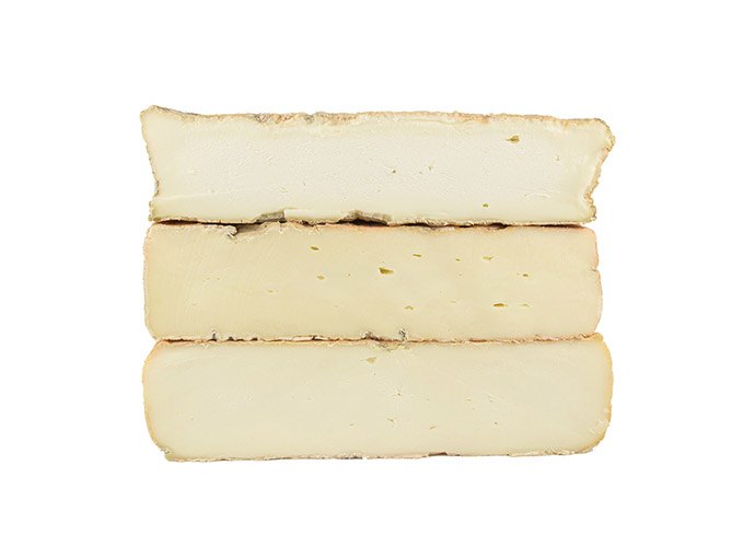 Taleggio DOP