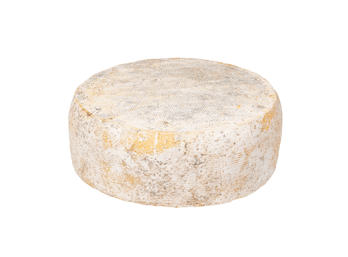 Toma verde - immagine 2