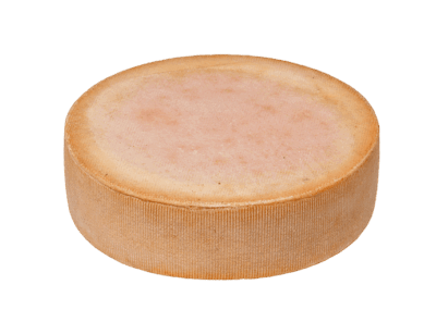 forma intera di berg rebell, formaggio di guffanti