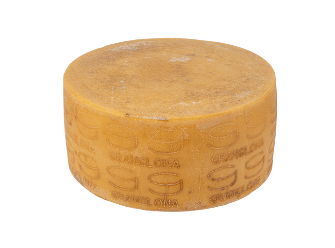 Grande formaggio di pecora Sardegna